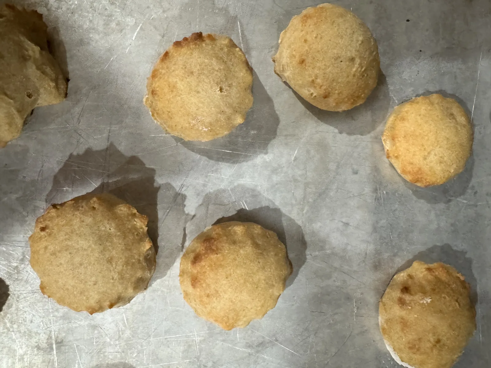 Herd & Hearth Fo Biscuits