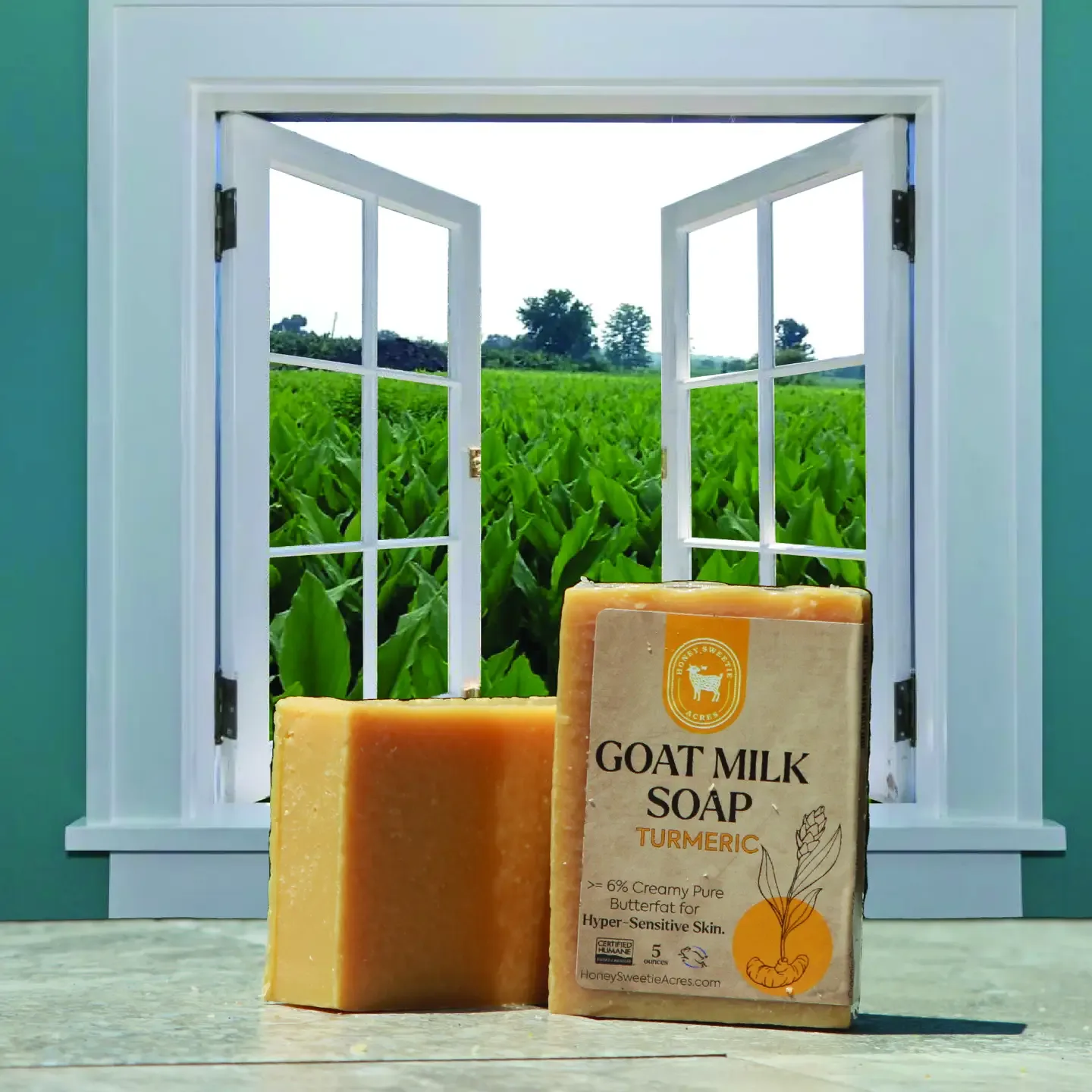 Turmeric — handcrafted goat milk skin care from The Hudstead in Great Falls, SC